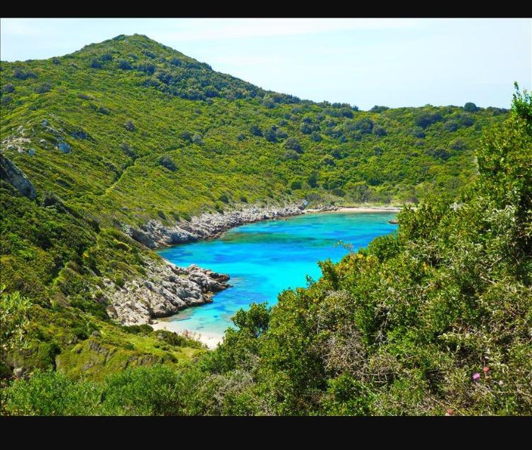 Ninos Corfu Villas Agios Georgios  Zewnętrze zdjęcie
